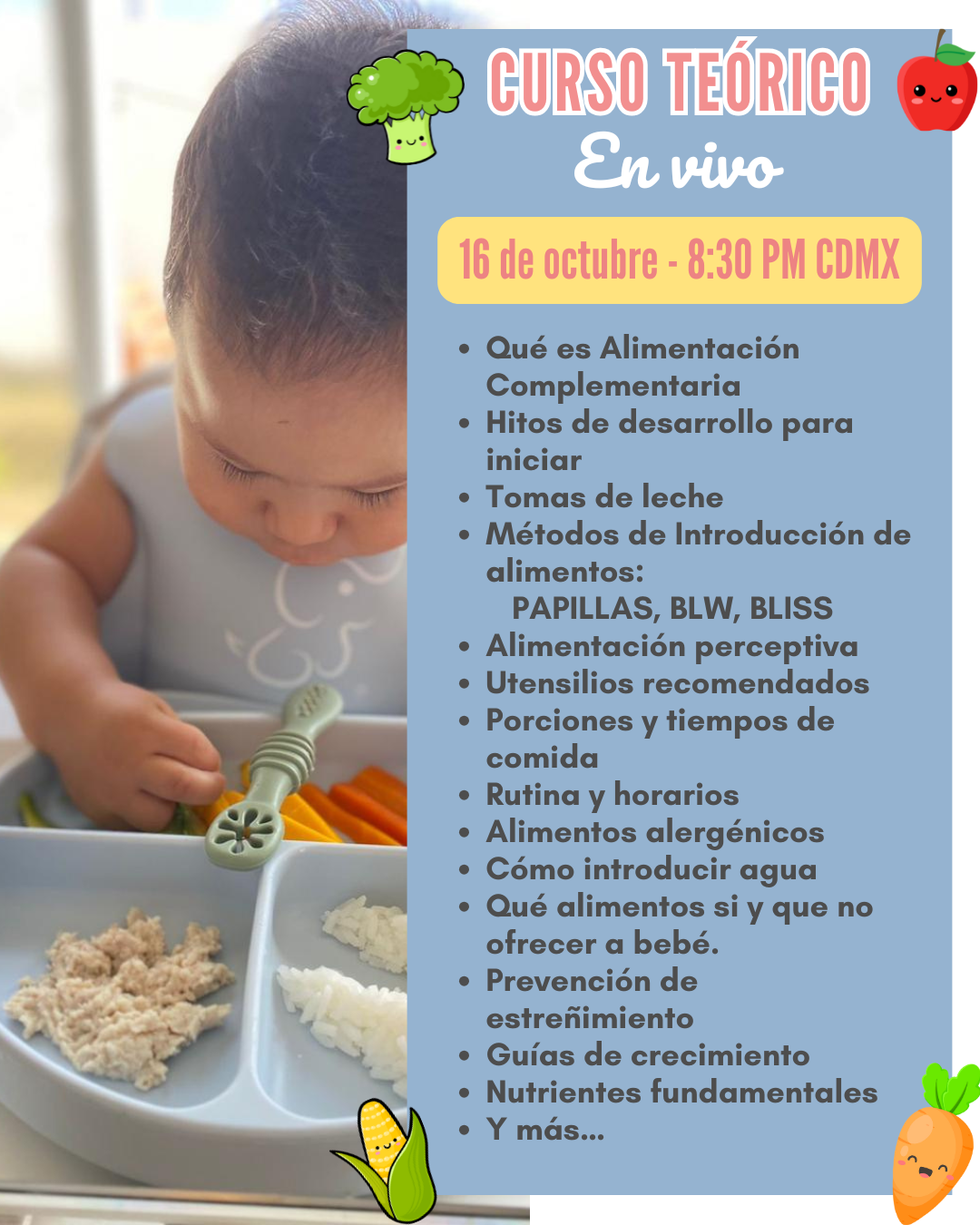 Curso en línea: Cómo iniciar Alimentación Complementaria RENOVADO ¡EN VIVO!
