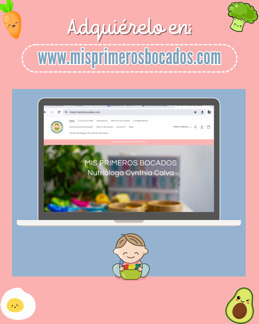 Curso Mi Lonchera Saludable (GRABADO)