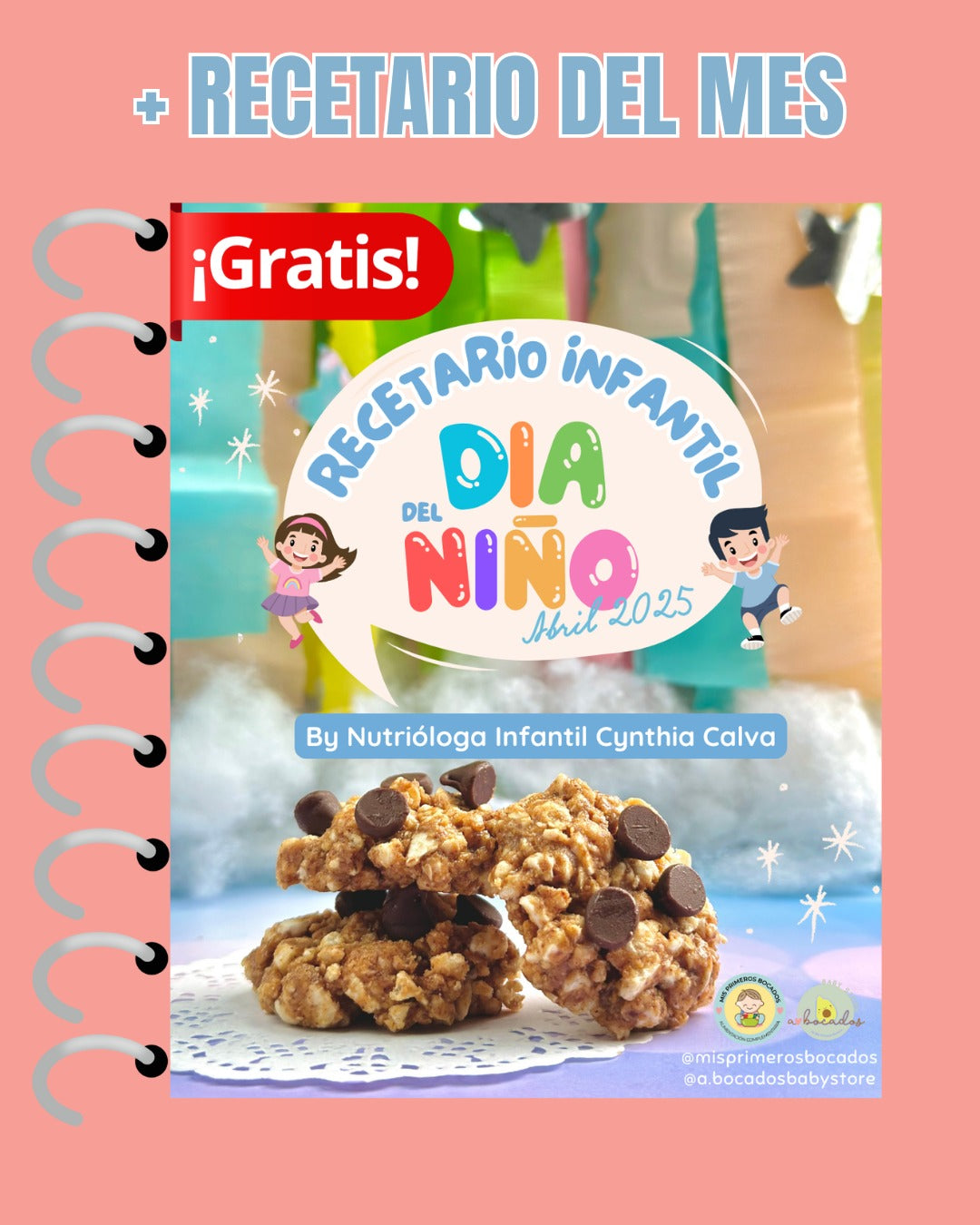 Curso Mi Lonchera Saludable (GRABADO)