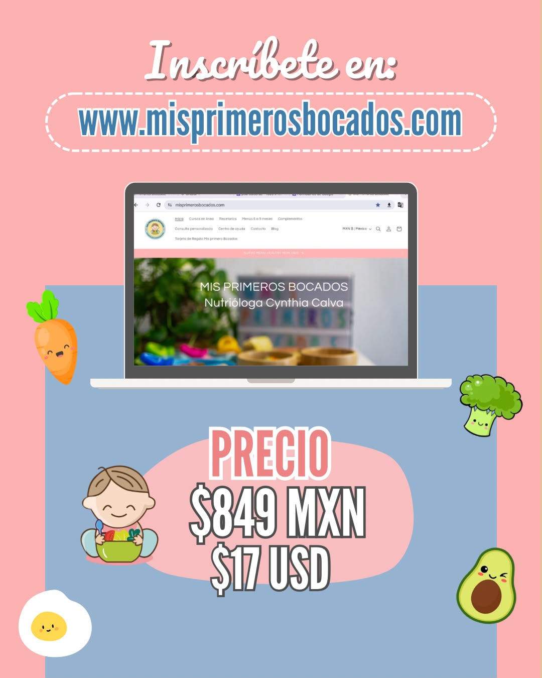 Curso Mi Lonchera Saludable RENOVADO (GRABADO)