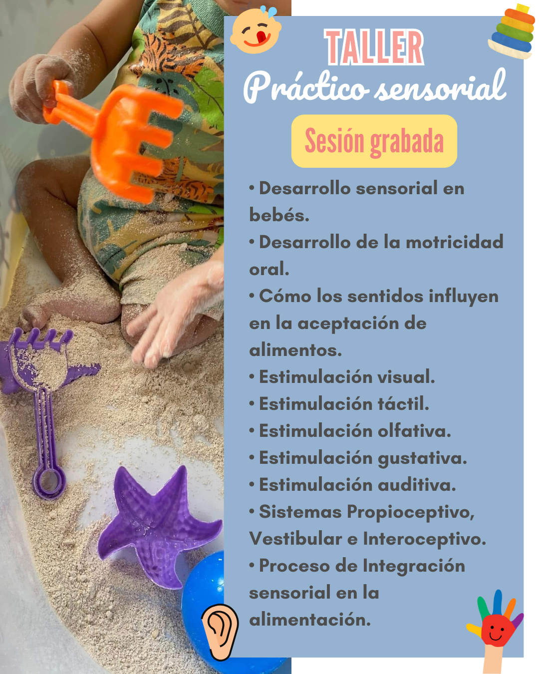 Curso en línea: Cómo iniciar Alimentación Complementaria RENOVADO ¡EN VIVO!