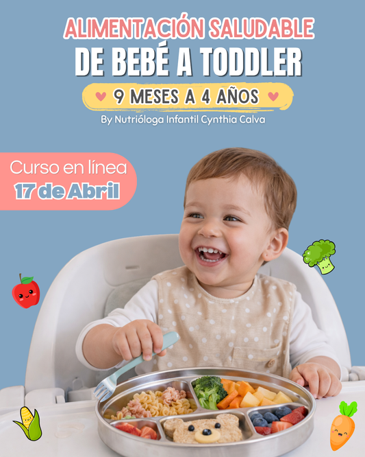 ✨ Curso en línea De Bebé a Toddler  ¡EN VIVO!✨