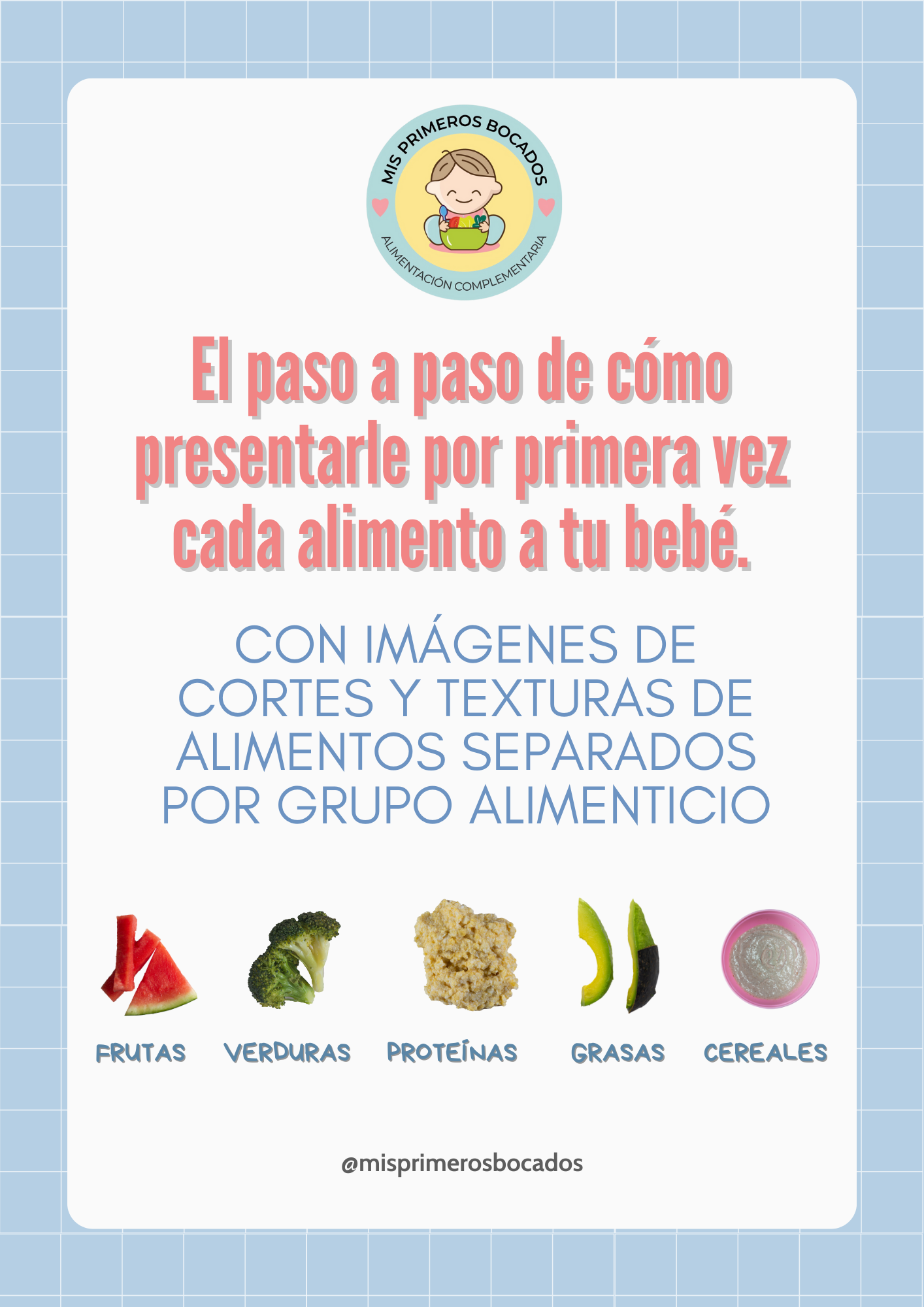 NUEVO ⭐MANUAL DE INTRODUCCIÓN DE ALIMENTOS EN ALIMENTACIÓN COMPLEMENTARIA⭐