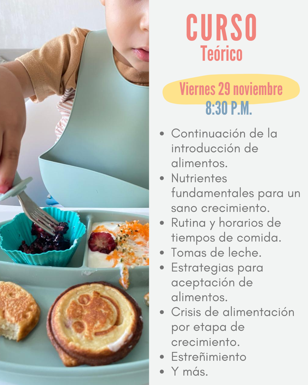 !!EN VIVO¡¡Curso en línea: Nutrición y cocina saludable para tu bebé : 9 meses a 4 años NOVIEMBRE 2024