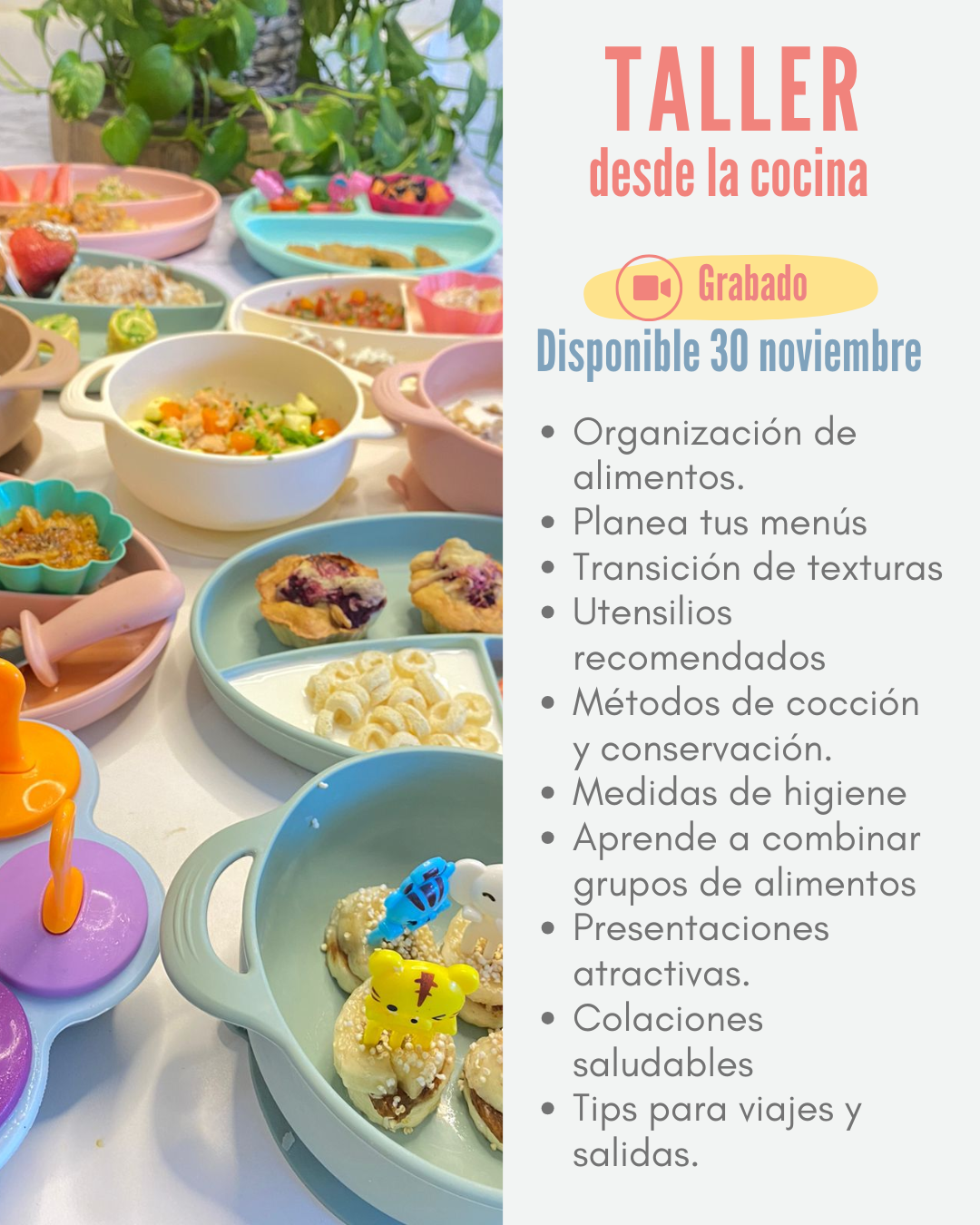 !!EN VIVO¡¡Curso en línea: Nutrición y cocina saludable para tu bebé : 9 meses a 4 años NOVIEMBRE 2024