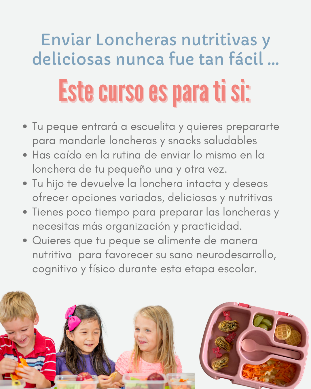 Curso Mi Lonchera Saludable *Grabado*