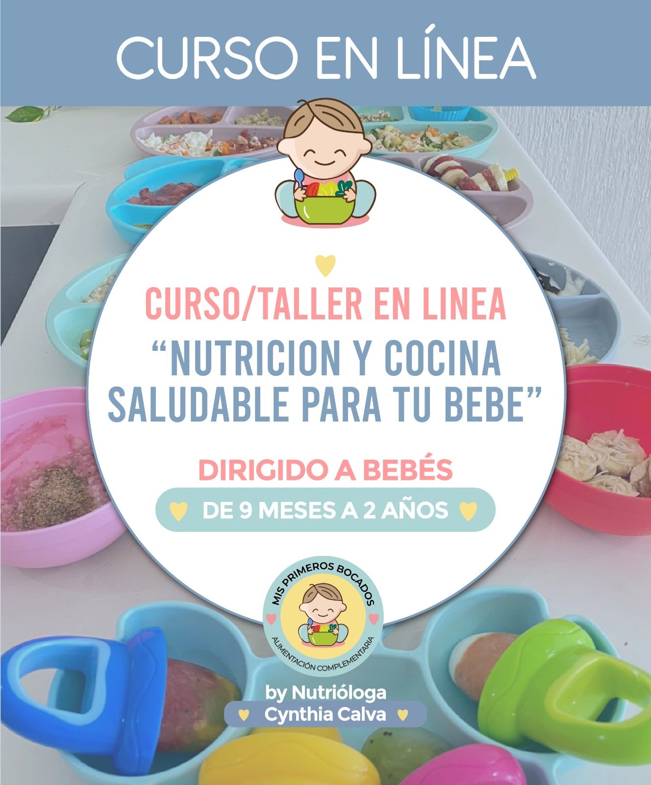 !!EN VIVO¡¡Curso en línea: Nutrición y cocina saludable para tu bebé : 9 meses a 4 años NOVIEMBRE 2024