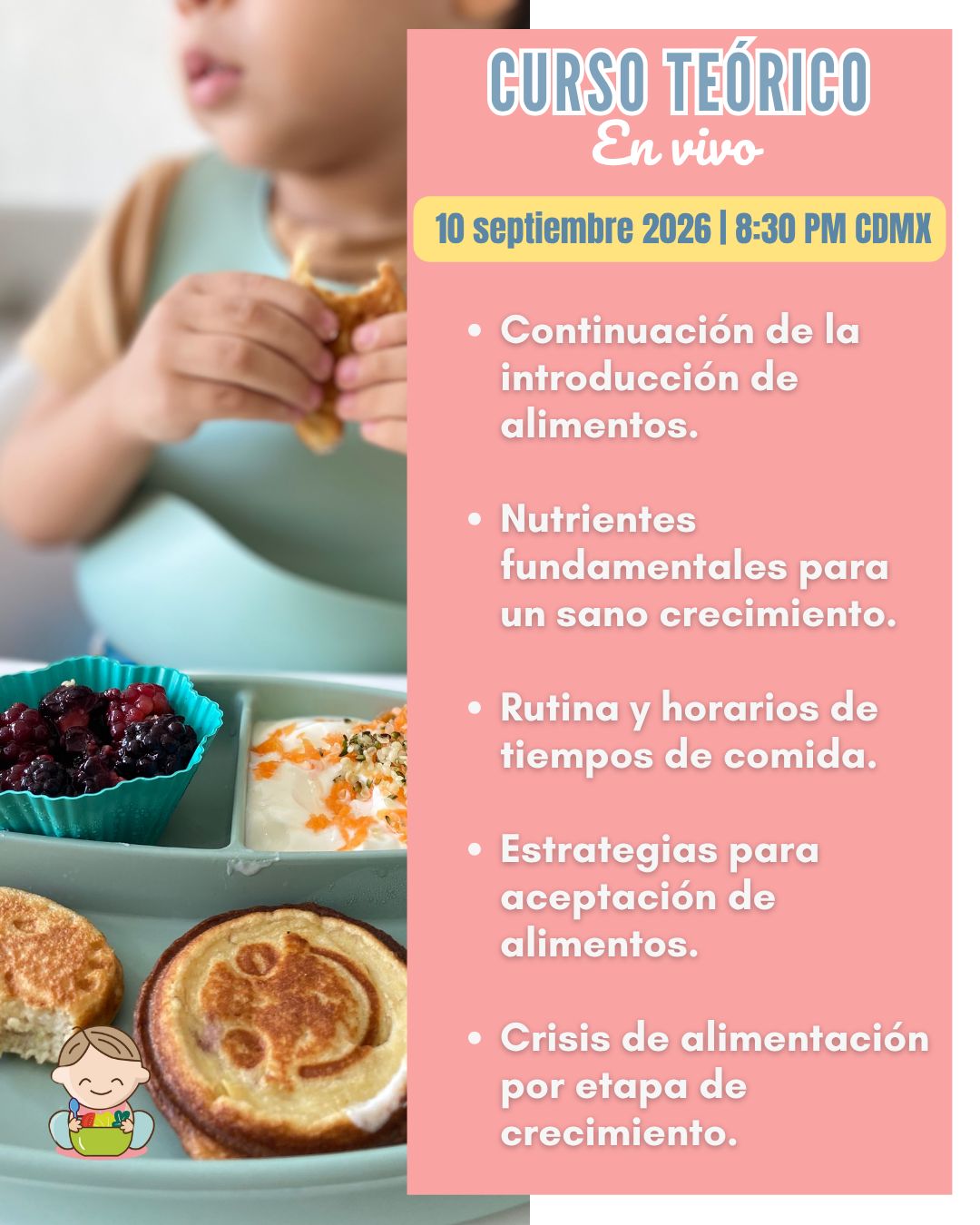 ✨ Curso en línea De Bebé a Toddler  ¡EN VIVO!✨