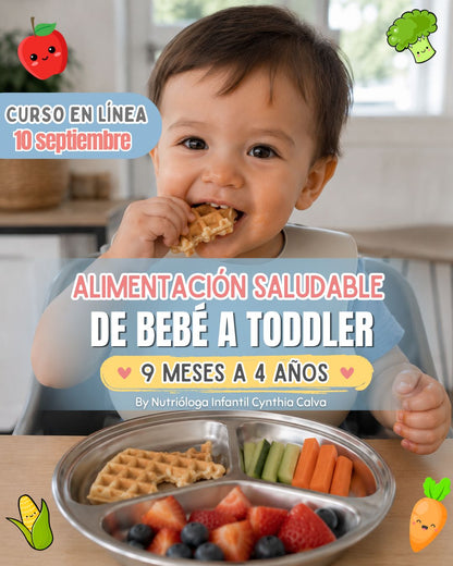 ✨ Curso en línea De Bebé a Toddler  ¡EN VIVO!✨