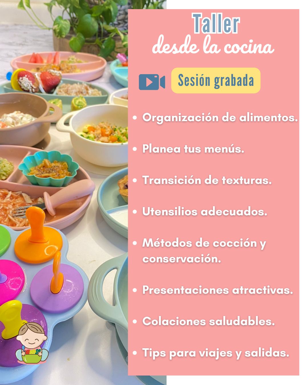 ✨ Curso en línea De Bebé a Toddler  ¡EN VIVO!✨