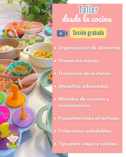 ✨ Curso en línea De Bebé a Toddler  ¡EN VIVO!✨