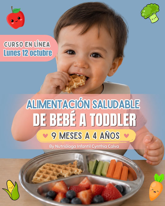 ✨ Curso en línea De Bebé a Toddler  ¡EN VIVO!✨