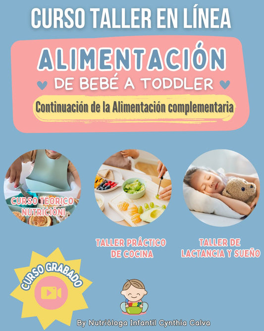 ✨ Curso en línea De Bebé a Toddler ✨ (GRABADO)